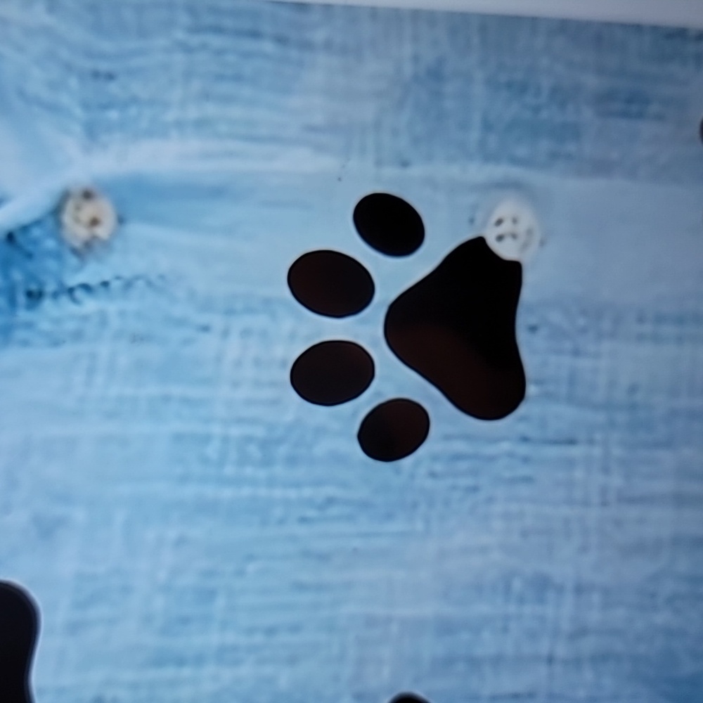 Light Blue Paw-Print Button-Up Long Sleeve Blouse, Size XL - Picture 3 of 5
